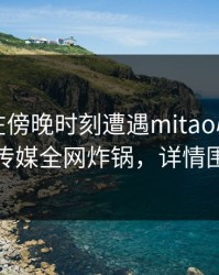 圈内人在傍晚时刻遭遇mitao心跳，蜜桃传媒全网炸锅，详情围观