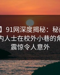 【紧急】91网深度揭秘：秘闻风波背后，业内人士在校外小巷的角色令人震惊令人意外
