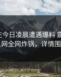 主持人在今日凌晨遭遇爆料 震撼人心，91网全网炸锅，详情围观