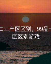 99品一二三产区区别，99品一二三产区区别游戏