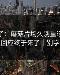 这周爆了：蘑菇片场久别重逢，当事人回应终于来了｜别学我