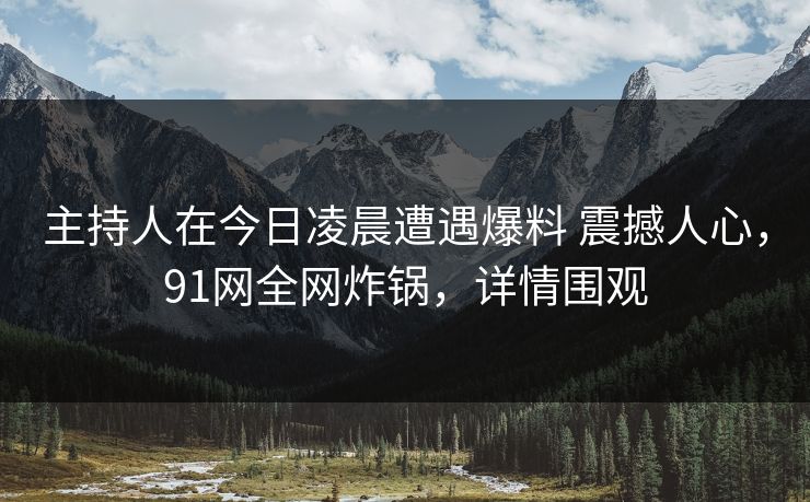 主持人在今日凌晨遭遇爆料 震撼人心,91网全网炸锅,详情围观 主持人在今日凌晨遭遇爆料 震撼人心,91网全网炸锅,详情围观